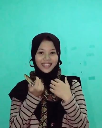 Tanpa rasa takut, ini 7 potret gadis pelihara 6 ular piton besar