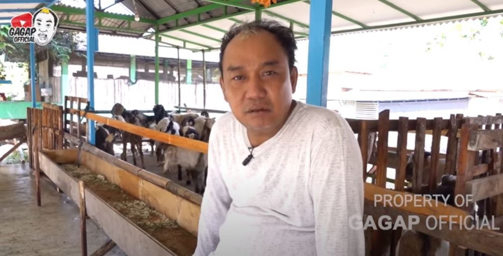 4 Seleb bisnis peternakan dan jual hewan kurban untuk Idul Adha