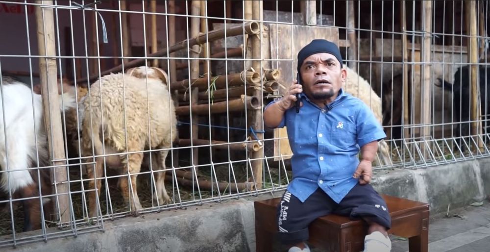 4 Seleb bisnis peternakan dan jual hewan kurban untuk Idul Adha