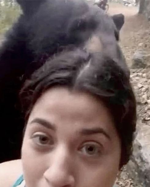 Viral video wanita didekati beruang, bukannya lari malah selfie