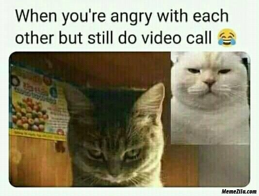 10 Meme lucu saat video call ini bikin cekikikan 