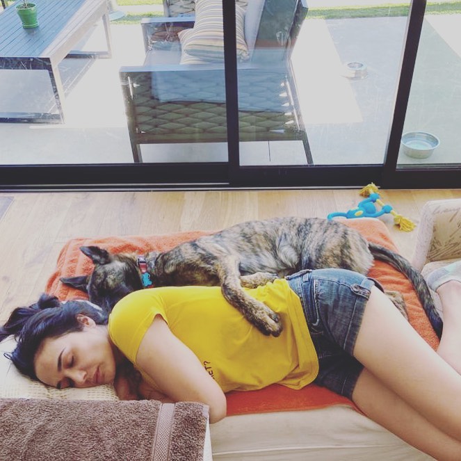 8 Potret rumah Preity Zinta, halamannya curi perhatian