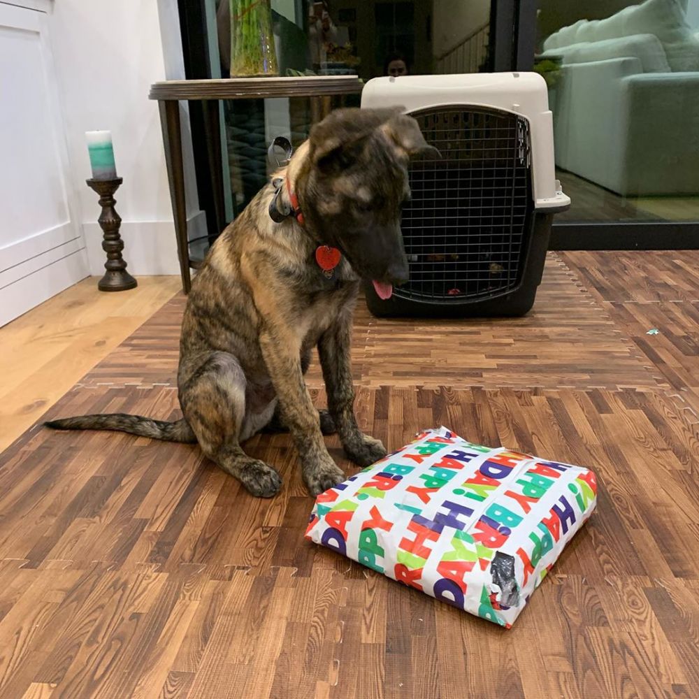 8 Potret rumah Preity Zinta, halamannya curi perhatian