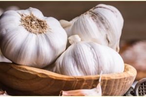 10 Manfaat bawang putih untuk kesehatan, menurunkan risiko kanker