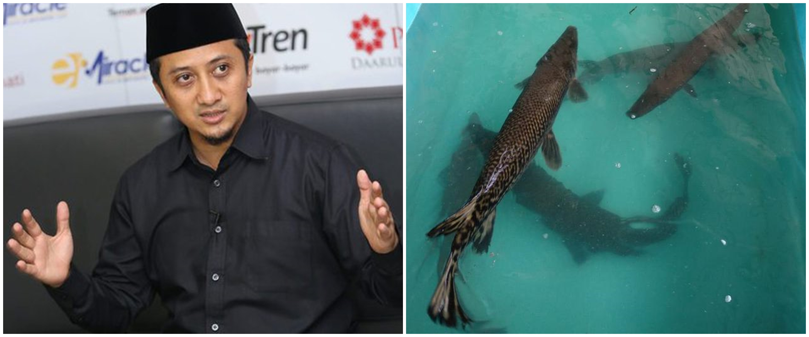 Gara-gara ikan aligator, Ustaz Yusuf Mansur diingatkan warganet