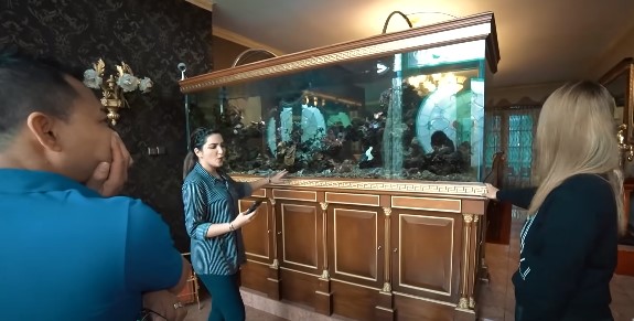 Inul Daratista punya akuarium seharga Rp 500 juta, ini keistimewaannya