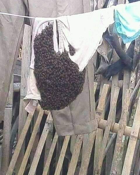 10 Momen lucu jemuran telihat seram ini bikin tepuk jidat