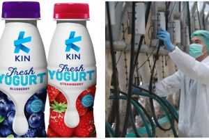 Manfaat mengonsumsi yogurt pada masa new normal