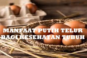 10 Manfaat putih telur, turunkan risiko penyakit jantung