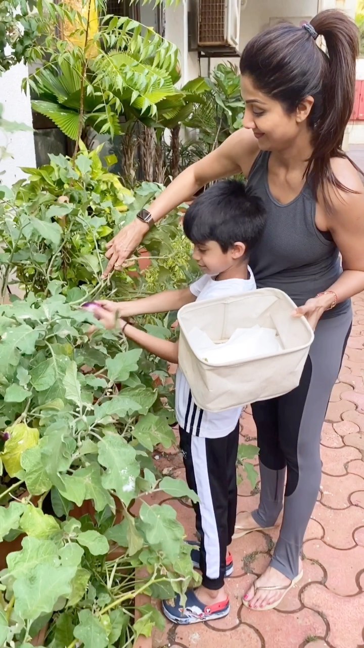 Potret kebun 9 seleb Bollywood, punya Akshay Kumar curi perhatian