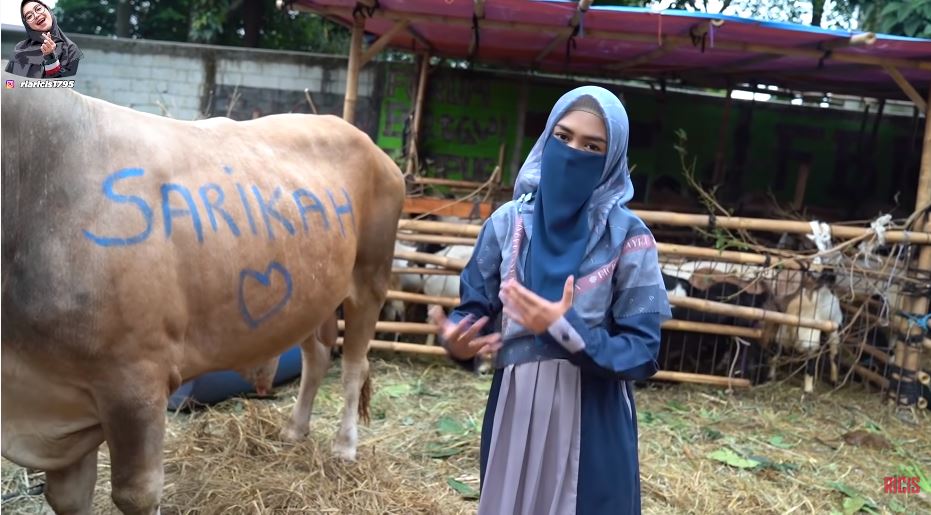 Momen 4 seleb berburu hewan kurban, ada yang borong 2 sapi