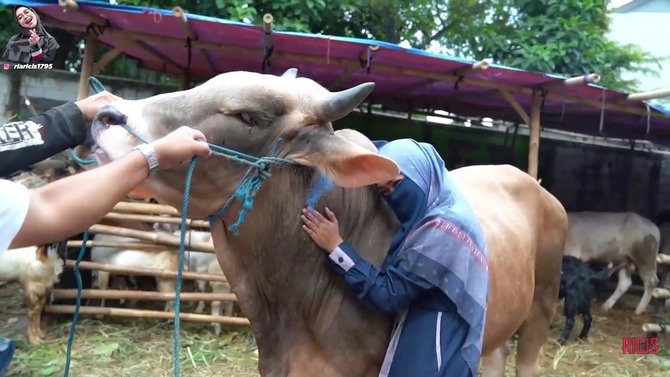 Momen lucu 3 seleb saat Idul Adha, hewan kurbannya dikasih nama lucu