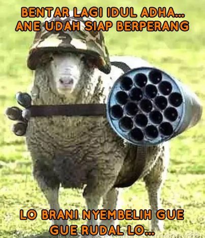 10 Meme lucu cara kambing kabur dari jagal ini bikin senyum merekah