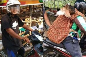 7 Potret orang bawa kambing dengan menggunakan motor ini kocak
