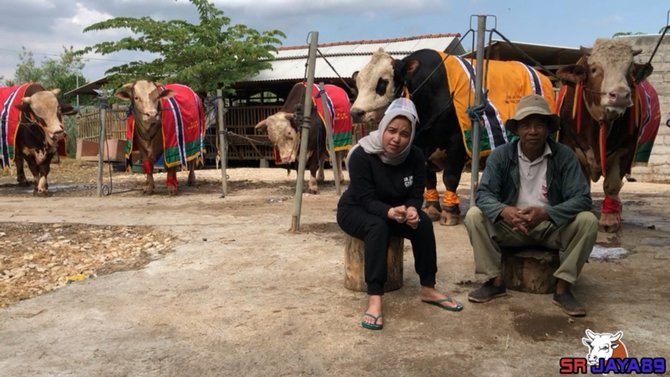 Rayakan Idul Adha, 5 seleb ini kurbankan hewan lebih dari satu