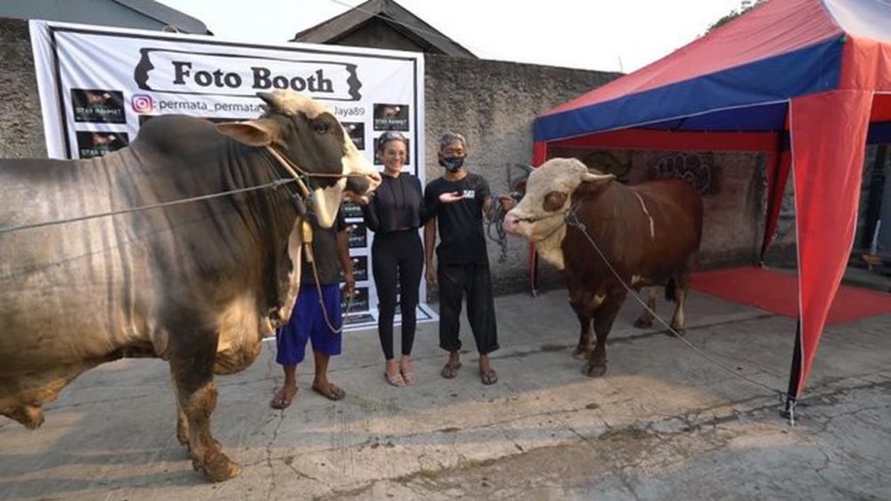 Rayakan Idul Adha, 5 seleb ini kurbankan hewan lebih dari satu