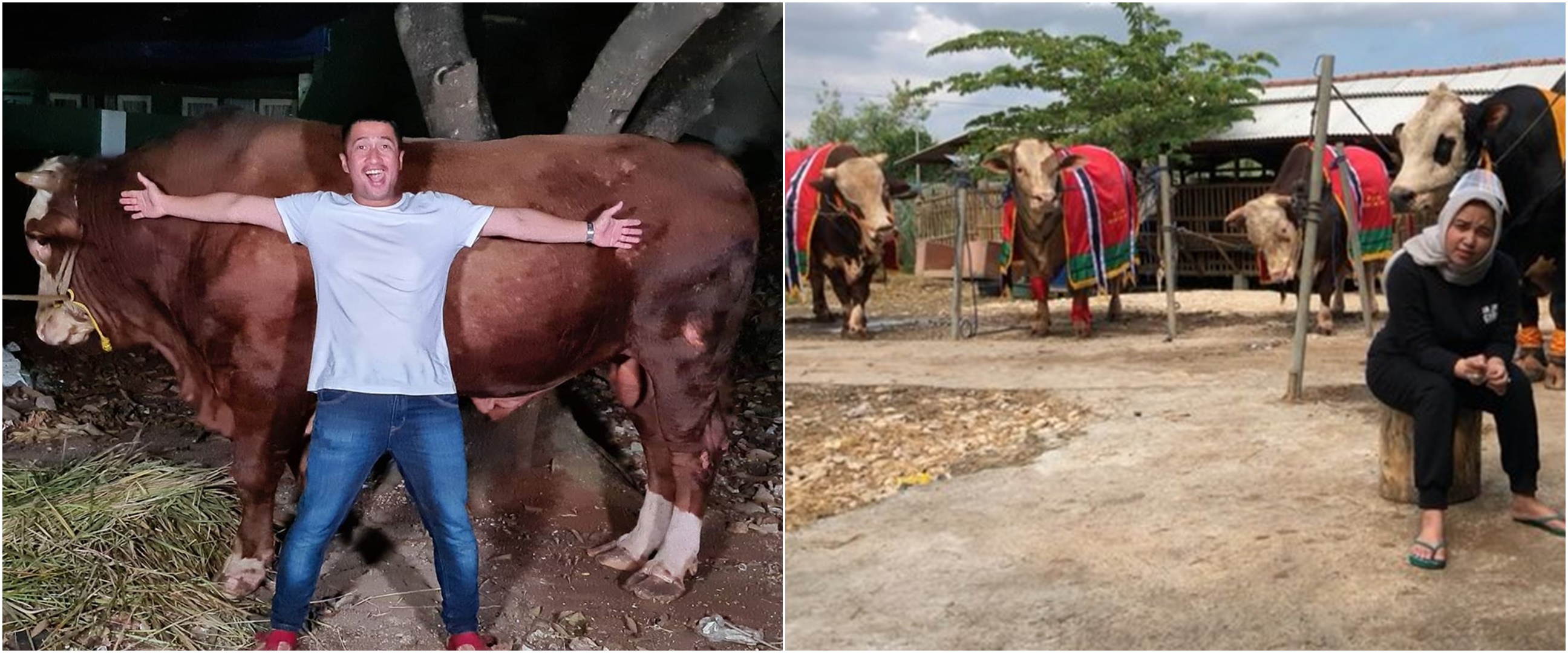 Rayakan Idul Adha, 5 seleb ini kurbankan hewan lebih dari satu