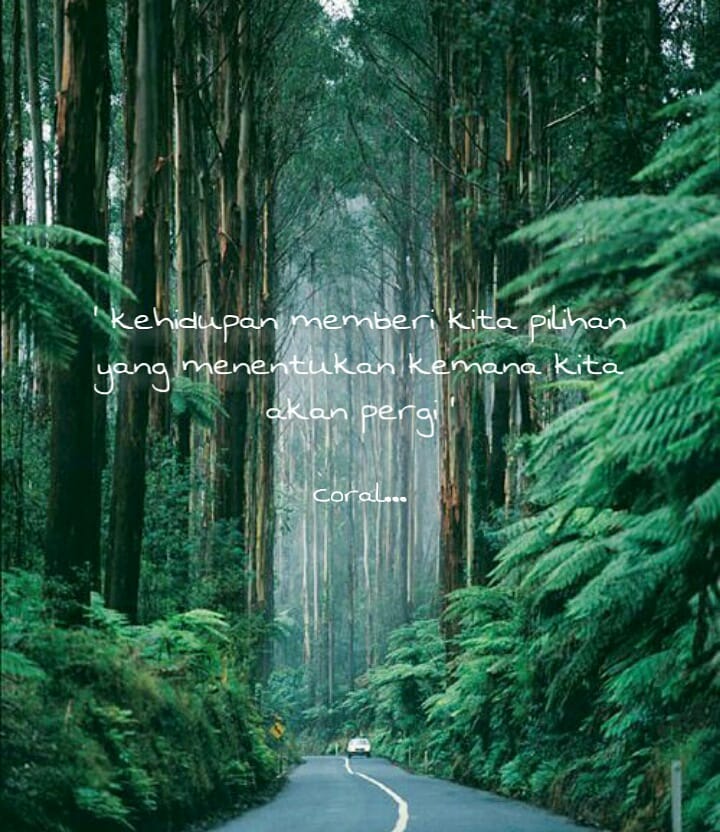 111 Kata-kata bijak keren tentang kehidupan, penuh makna dan motivasi