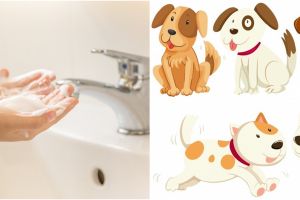 Macam-macam najis dan cara membersihkannya sesuai syariat Islam