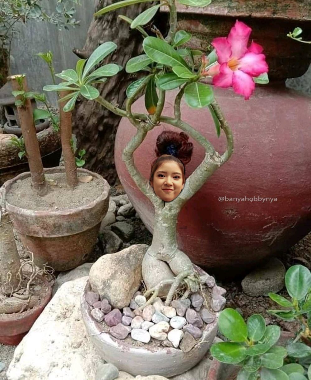 Minta fotonya diedit, 10 potret Tiara Idol ini malah jadi kocak