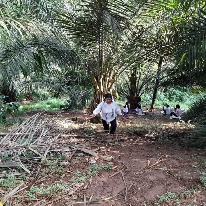 10 Potret perjuangan pelajar di Simalungun, naik pohon demi sinyal