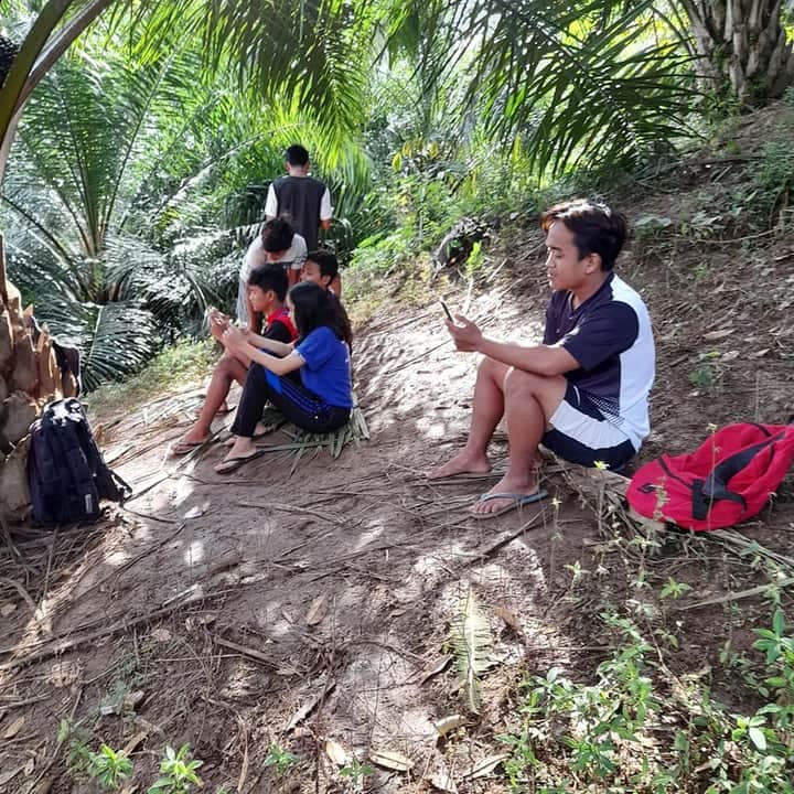 10 Potret perjuangan pelajar di Simalungun, naik pohon demi sinyal