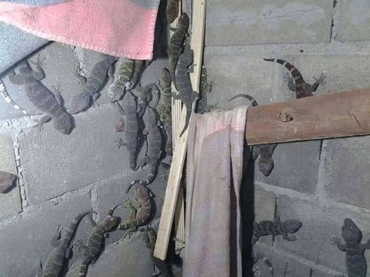 8 Potret kos ditinggal mudik saat pandemi corona, bikin ngelus dada