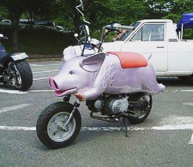 modifikasi motor tema binatang Instagram