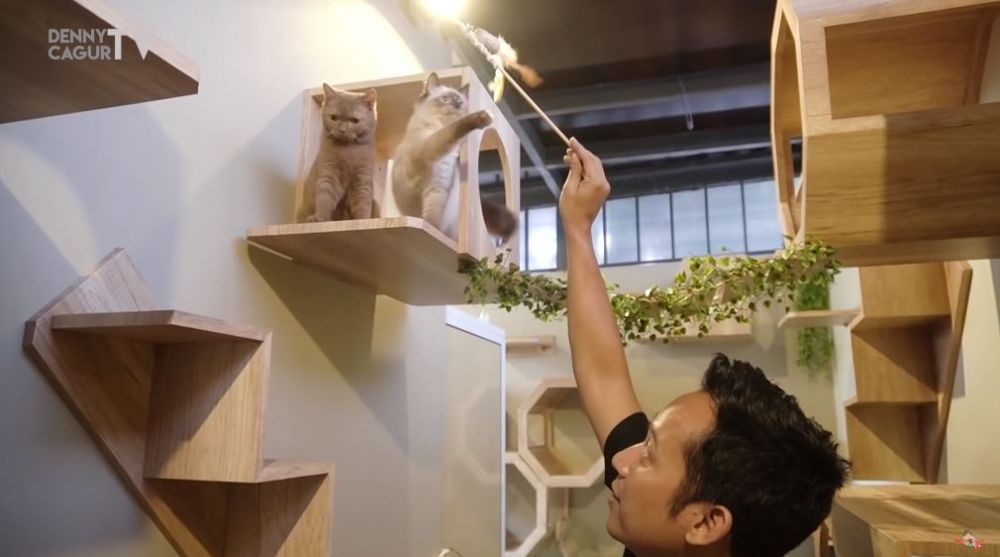 10 Potret rumah kucing milik Denny Cagur, fasilitasnya ...