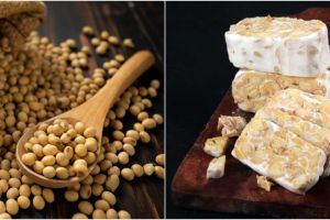 Cara membuat tempe mentah, enak, sederhana dan mudah dibuat