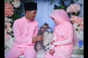 Kisah lamaran unik, kucing dijadikan seserahan tunangan