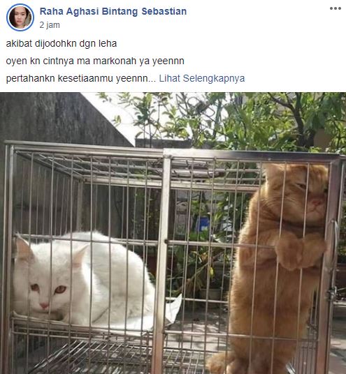 10 Postingan di grup Perserikatan Kocheng Bar Bar ini kocak abis