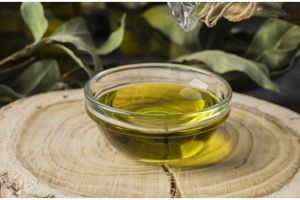 8 Manfaat minyak zaitun untuk wanita, sumber perawatan alami