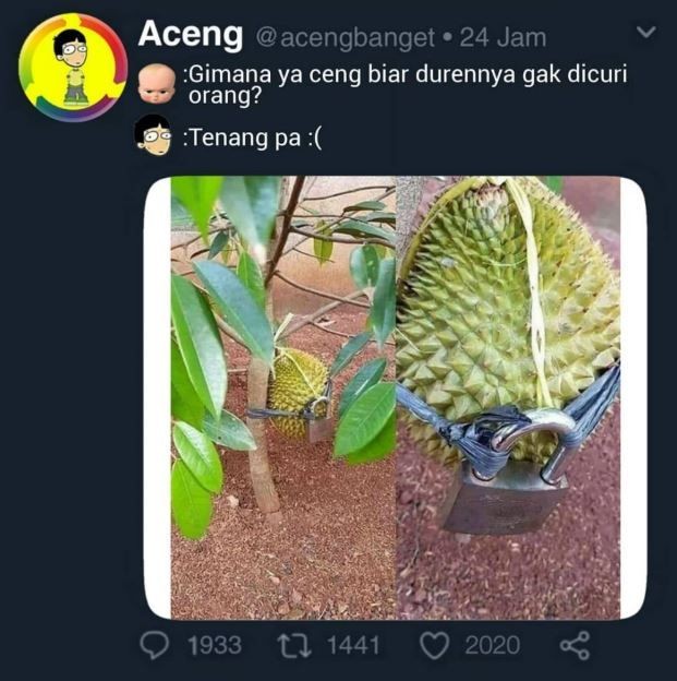 10 Meme lucu solusi singkat ala warga +62, bikin dahi mengerut
