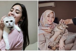 Taksiran harga kucing peliharaan 6 seleb ini bikin melongo