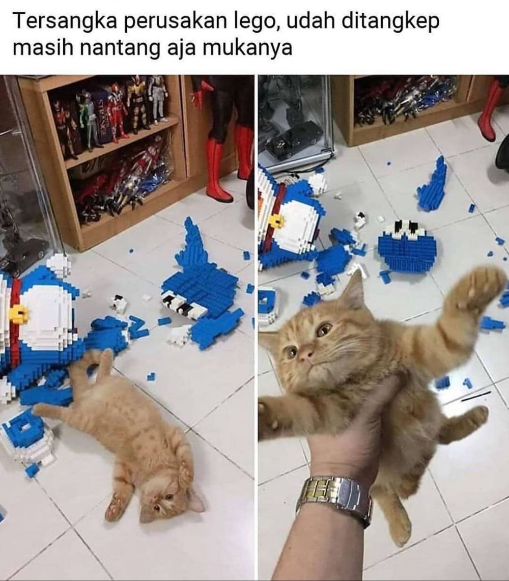 10 Status lucu momen panik di keseharian ini bikin ngangguk setuju