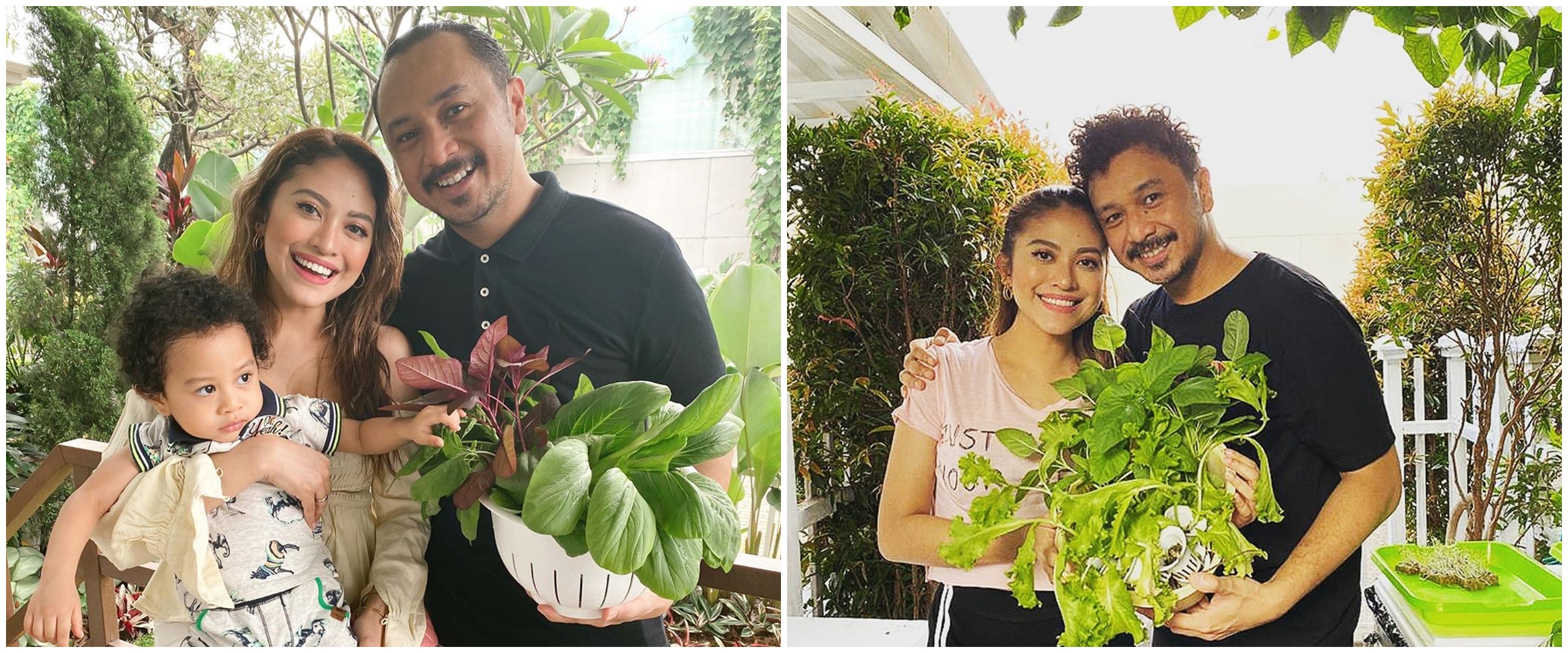 9 Potret rumah Giring eks Nidji, kebun hidroponiknya curi perhatian