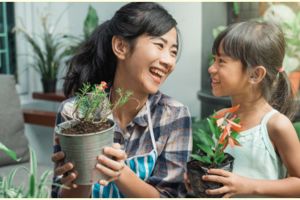 8 Manfaat berkebun di rumah bagi kesehatan, menurunkan berat badan