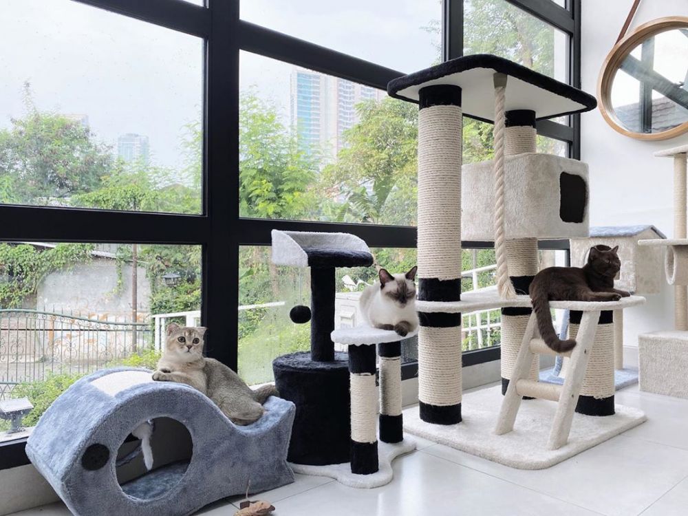 10 Potret rumah Tyas Mirasih gaya minimalis, ada ruang khusus kucing