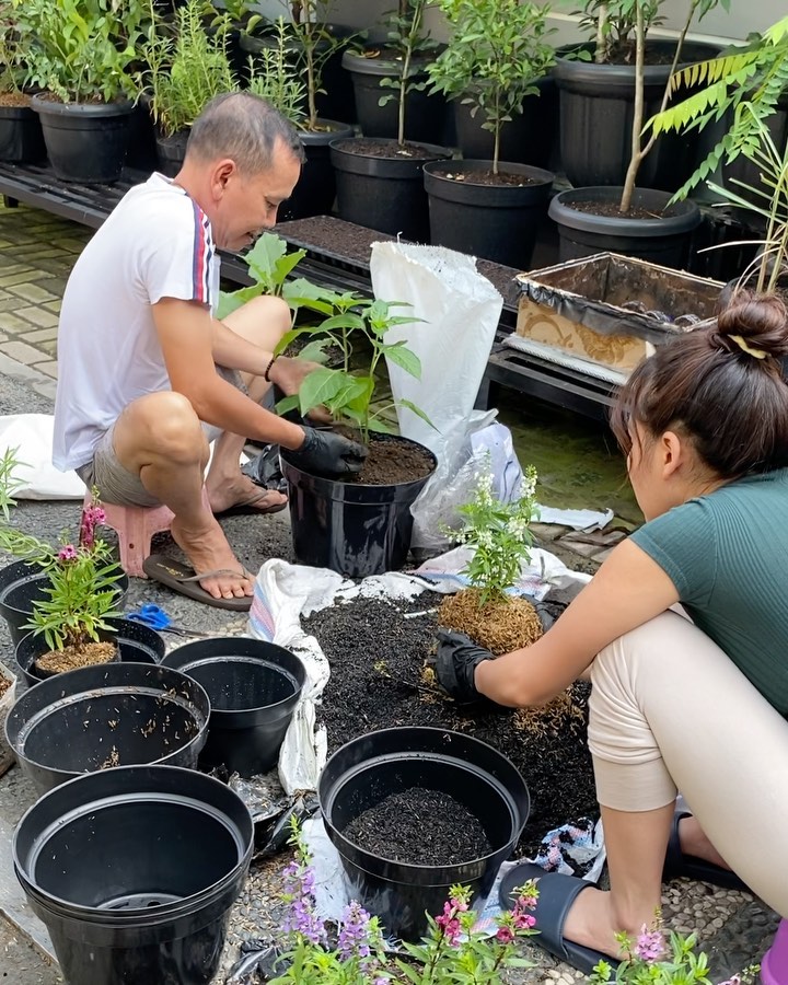 9 Penampakan kebun milik ayah Ayu Ting Ting, subur dan asri