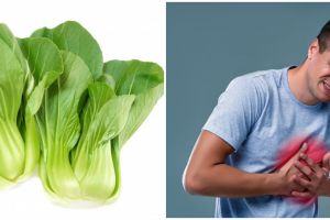 11 Manfaat sawi hijau untuk kesehatan, mencegah anemia