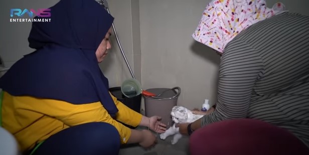 8 Momen Nagita Slavina pelihara kucing, perawatannya maksimal