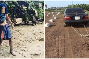 10 Potret lucu orang pergi ke sawah ini bikin pengen ketawa