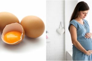 10 Manfaat telur bagi ibu hamil, bantu pertumbuhan otak janin