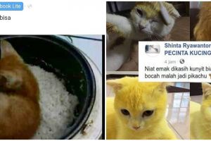 10 Status FB lucu pengen marah ini bikin geleng kepala