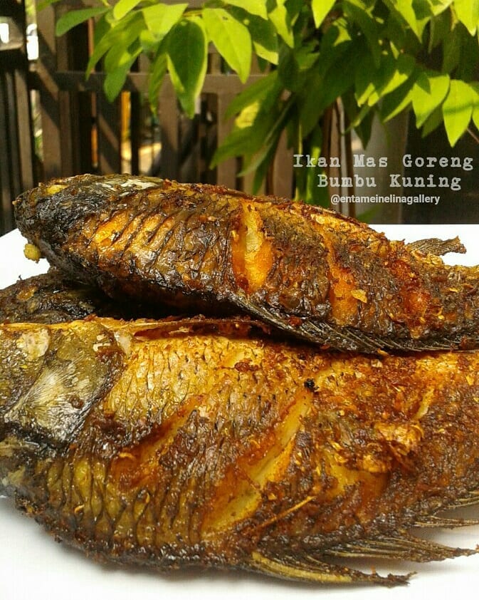 8 Resep olahan ikan mas - Cakrawala Rafflesia