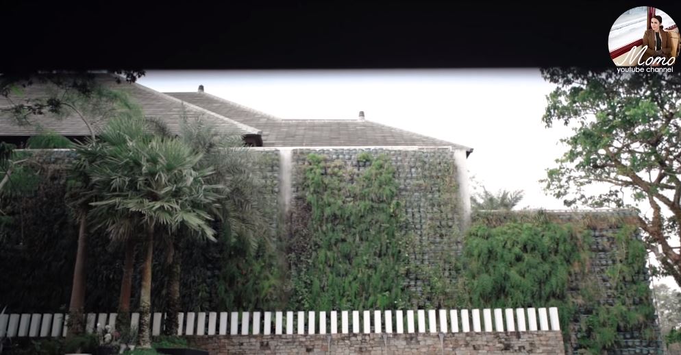 11 Potret area outdoor rumah Momo Geisha, berkonsep ala resort