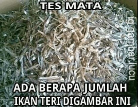 10 Meme lucu tes mata ngawur ini malah bikin emosi jiwa