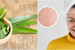 9 Manfaat daun pandan untuk kecantikan, bisa mengatasi komedo