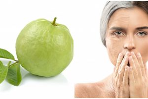 9 Manfaat daun jambu biji untuk kecantikan, menghilangkan komedo